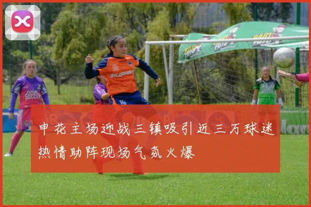 申花主场迎战三镇吸引近三万球迷热情助阵现场气氛火爆