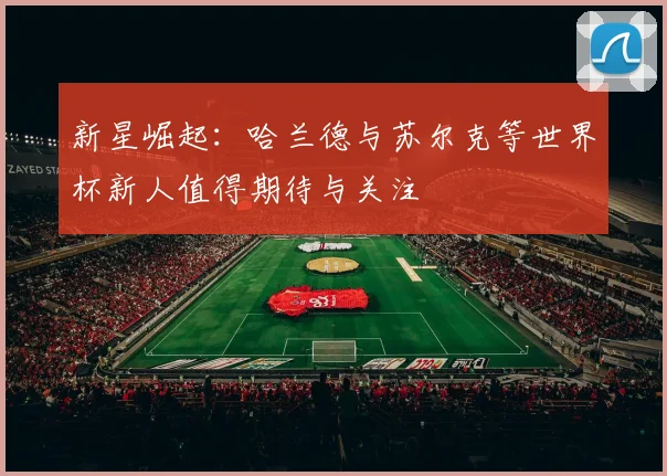 新星崛起：哈兰德与苏尔克等世界杯新人值得期待与关注