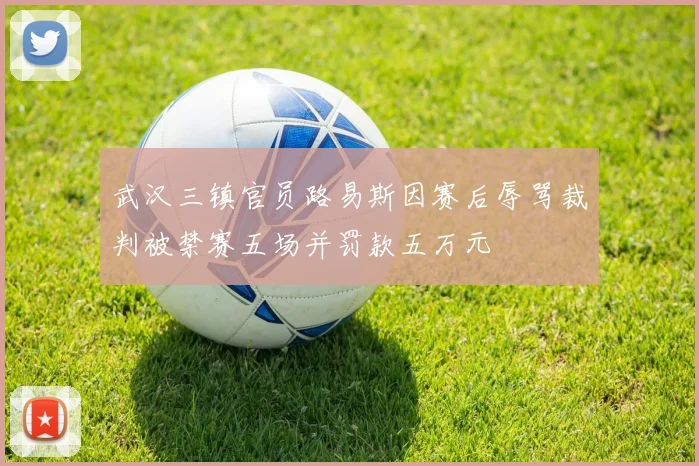 武汉三镇官员路易斯因赛后辱骂裁判被禁赛五场并罚款五万元