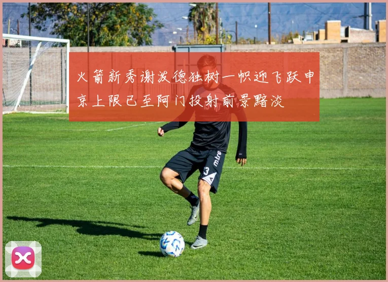 火箭新秀谢泼德独树一帜迎飞跃申京上限已至阿门投射前景黯淡